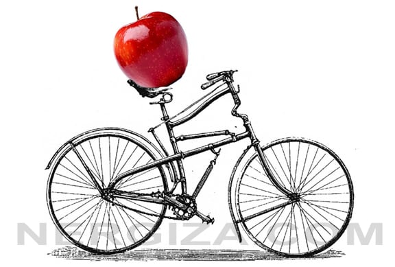 consumo alimento bici